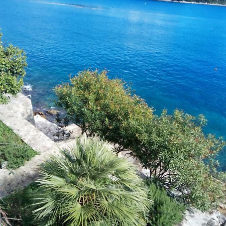 Mljet 4You - Beach House Sobra Εξωτερικό φωτογραφία
