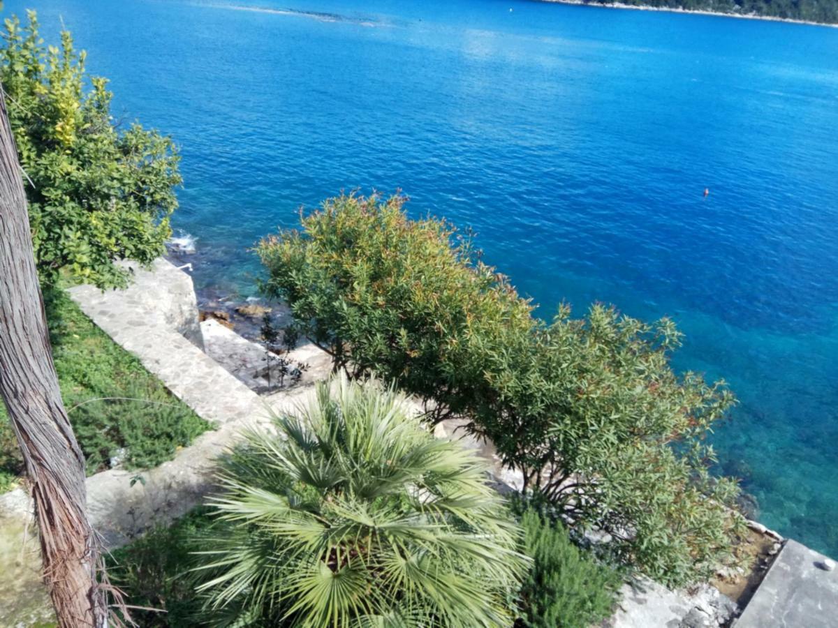 Mljet 4You - Beach House Sobra Εξωτερικό φωτογραφία